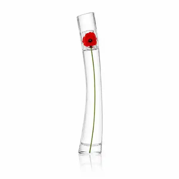 Damen 3er-Set — Frohnatur