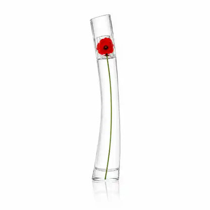 Damen 3er-Set — Frohnatur